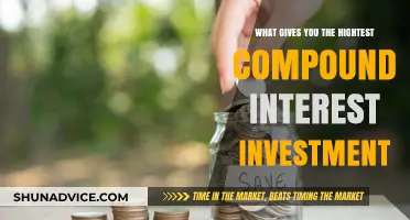 Maximizing Compound Interest: Strategies for Skyrocketing Your Investments