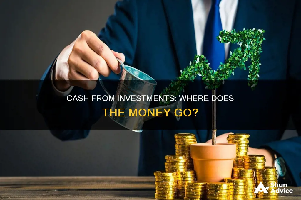 what goes on cash from investment