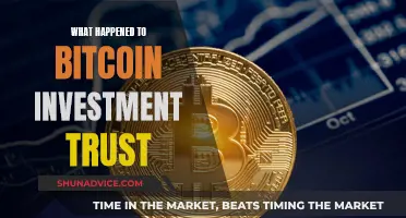 The Rise and Fall of Bitcoin Investment Trust