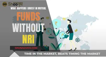 Mutual Fund Investment: NRIs Need Not Apply