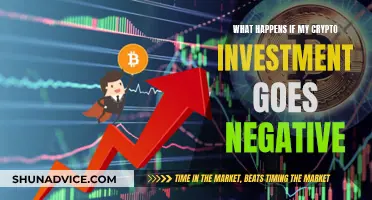 Understanding Negative Crypto Investments: Risks and Implications