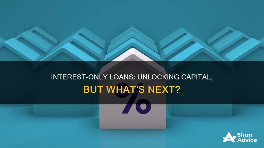 what happens to interest only loans after initial investment