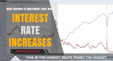 Interest Rate Hike Impact: Investment Strategies in Flux