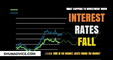 Interest Rate Drop: How It Affects Your Investment Portfolio