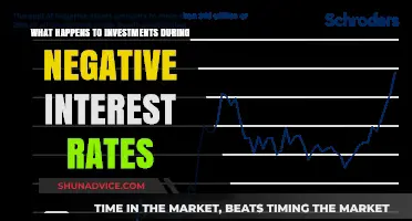 Navigating the Storm: What Investors Should Know About Negative Interest Rates