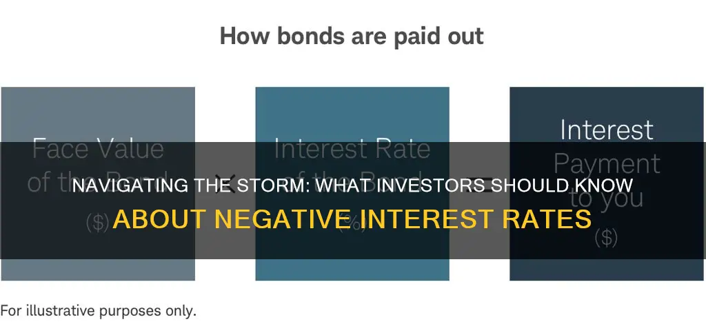 what happens to investments during negative interest rates