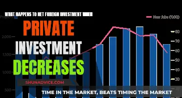 Private Investment Decline: Impact on Net Foreign Investment Flows