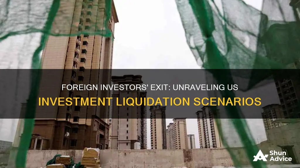 what happens wen a foreign investor liquidate us investment