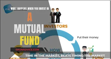 Mutual Fund Investment: Your Money, Their Expertise