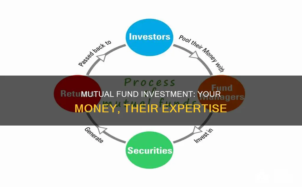 what happens when you invest in a mutual fund