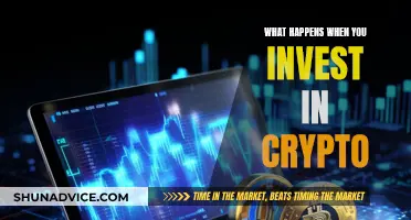 Crypto Investment: What to Expect When You Invest