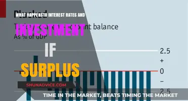 Interest Rates, Surplus, and Investment: Unraveling the Economic Triangle