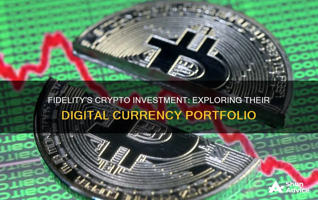 what has fidelity invested in crypto currency