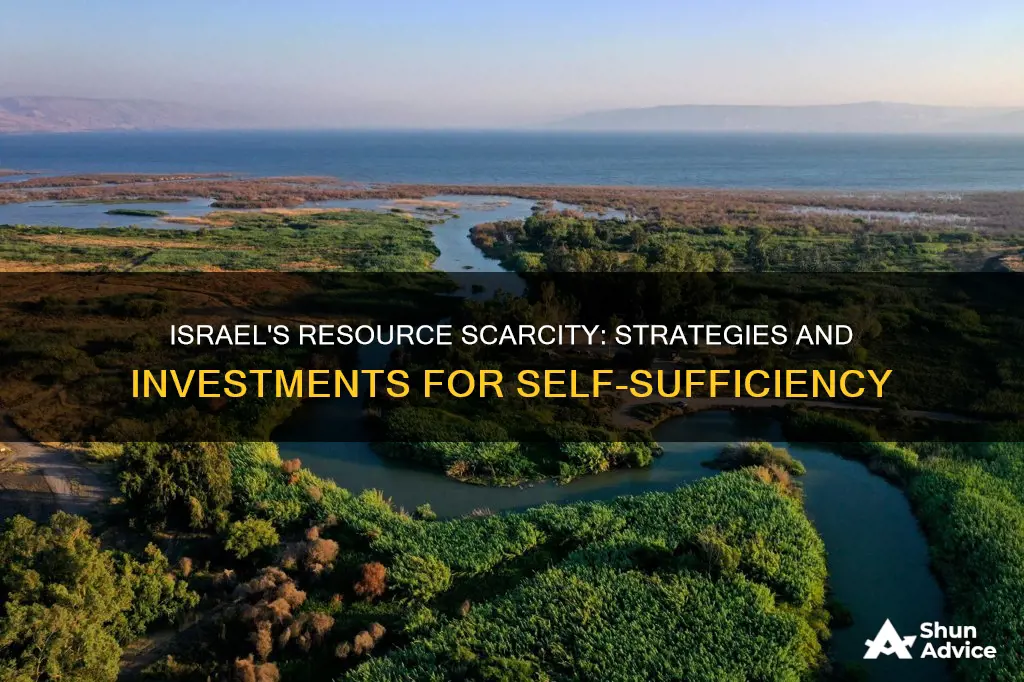 what has israel invested to make up scarcity of resource