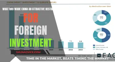 Unlocking China's Investment Magnetism: A Global Perspective