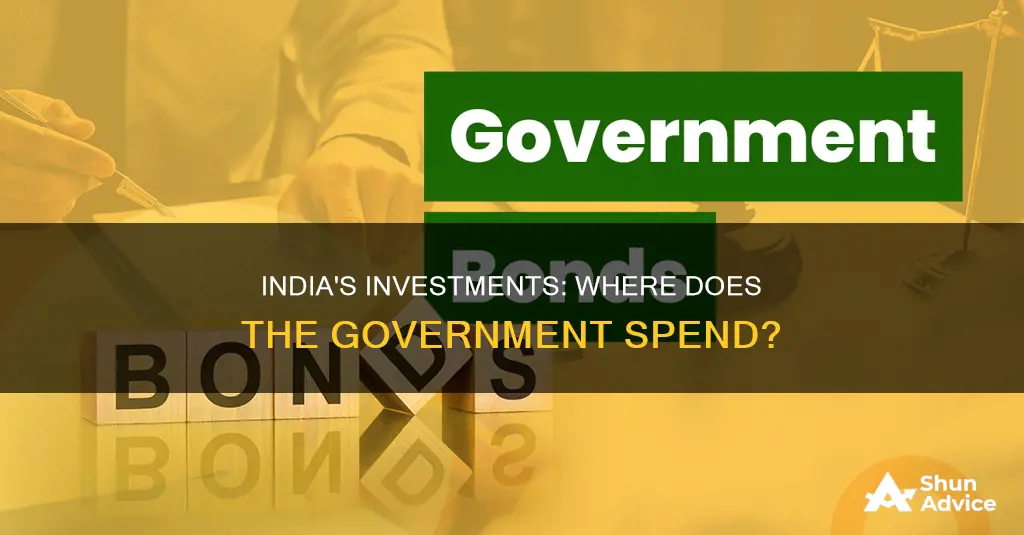 what has the indian government invested in