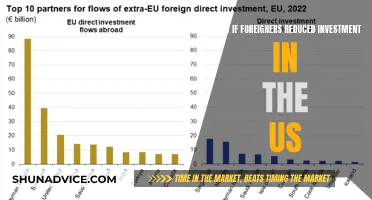 Foreign Investment's Impact: A US Perspective on Reduced Capital Flows