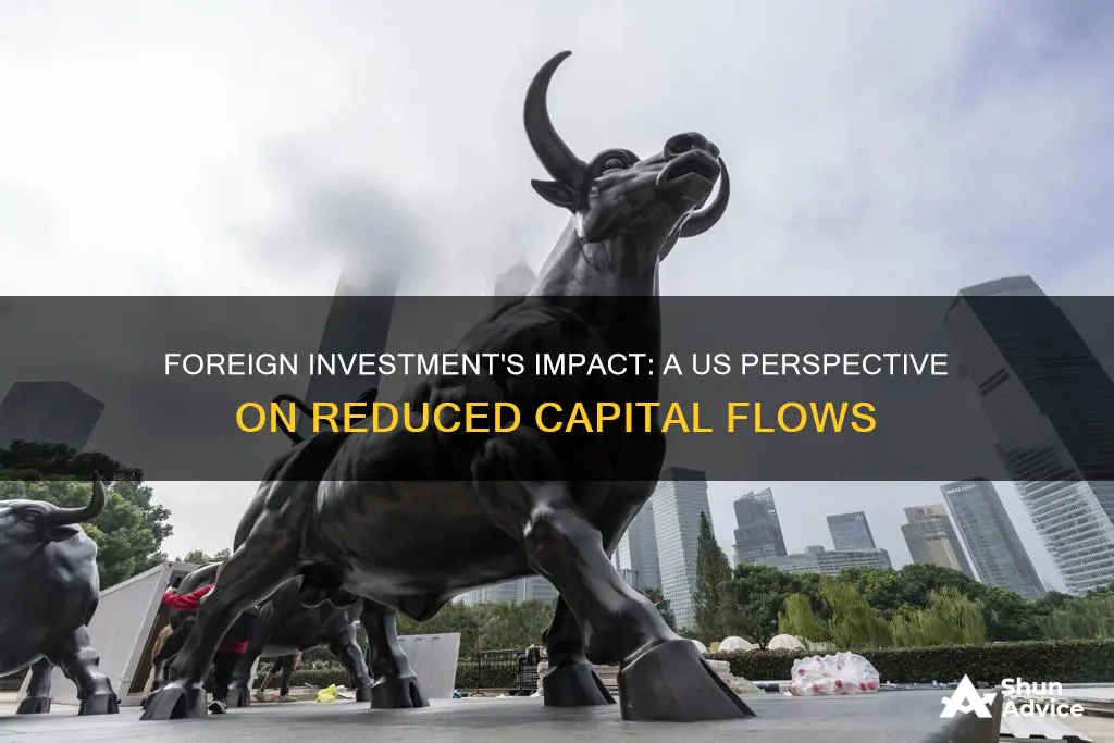 what if foreigners reduced investment in the us