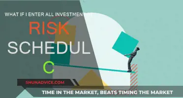 Risk and Reward: Schedule C Investments