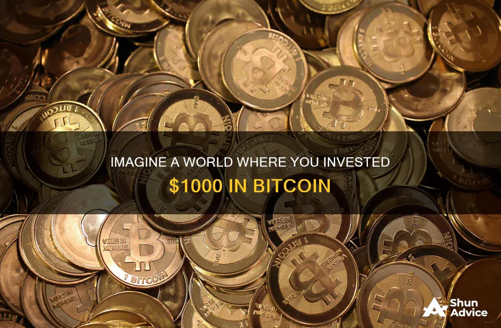 what if I had invested 1000 in bitcoin