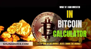 Calculating Bitcoin Investments: What Could Have Been?