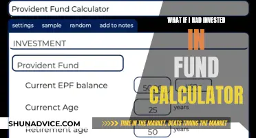 The 'What If' Investment Calculator: Your Potential Future