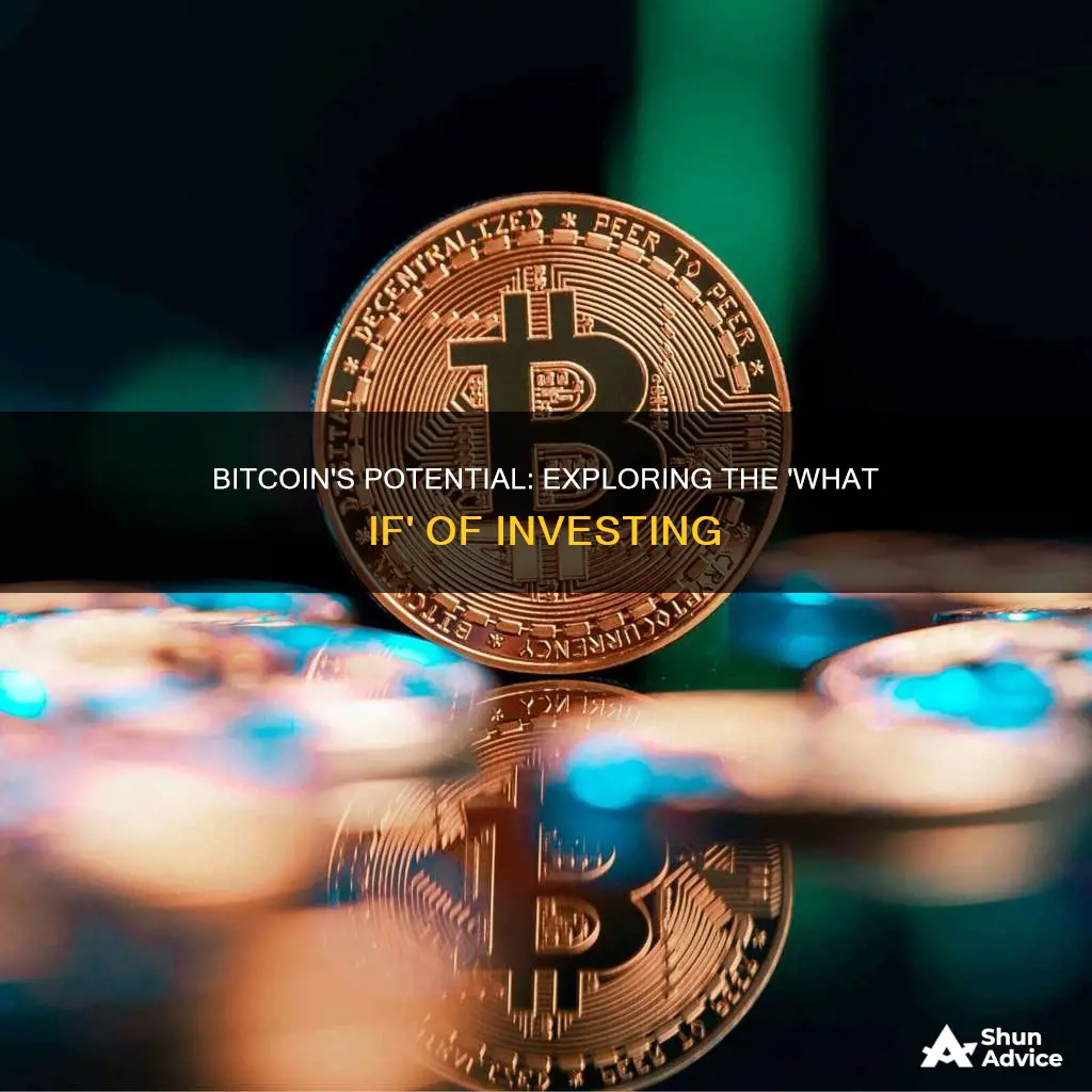 what if invested money in bitcoin