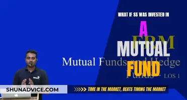 Mutual Fund Investment: A Smart SS Strategy?