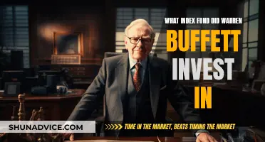 Warren Buffett's Index Fund Investment Strategy