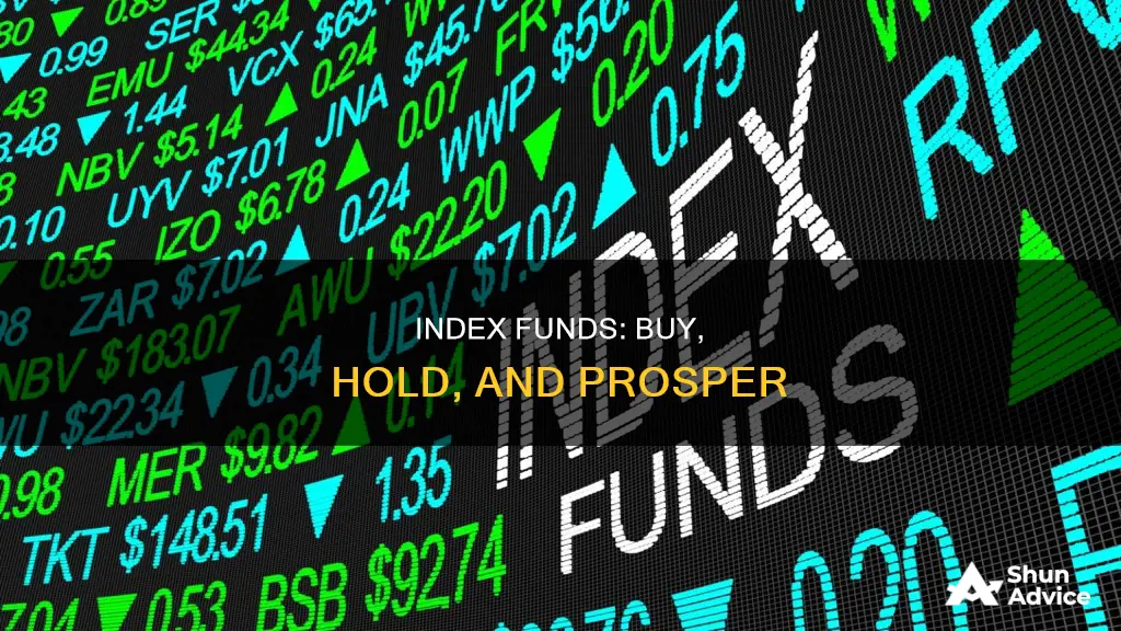 what index fund to invest in buy and hold