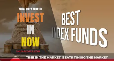 Index Funds: Best Investment Options for Today's Market