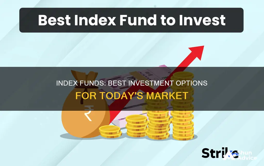 what index fund to invest in now