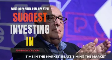 Ben Stein's Recommended Index Funds for Your Portfolio