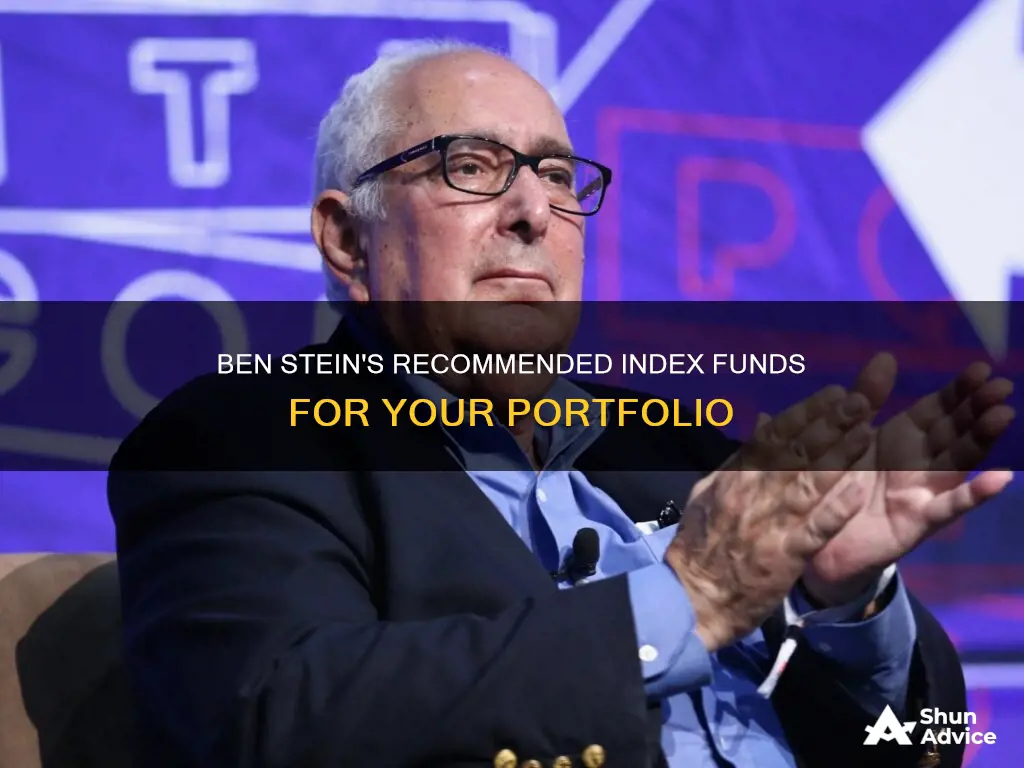 what index funds does ben stein suggest investing in