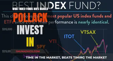 Harold Pollack's Index Fund Investment Strategies