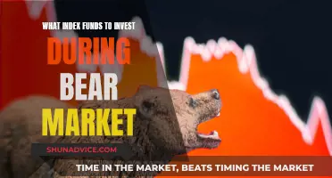 Index Funds: Bear Market Strategies for Long-Term Growth