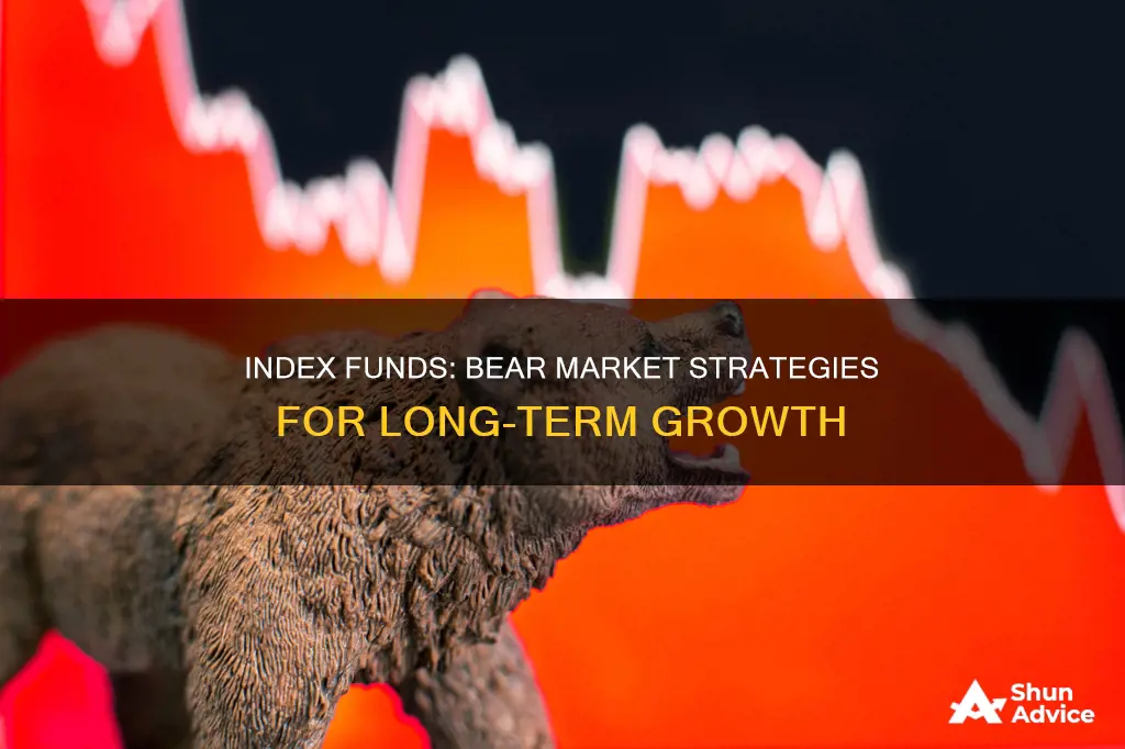 what index funds to invest during bear market