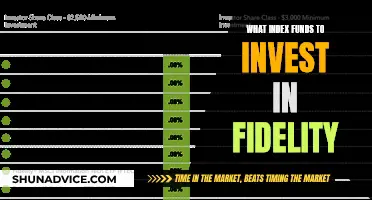 Best Fidelity Index Funds: Top Picks for Your Portfolio