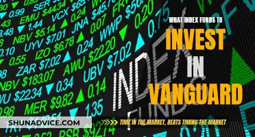 Best Vanguard Index Funds: Top Picks for Investors