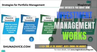 Unraveling Investment Management: A Fascinating Journey into Financial Strategies