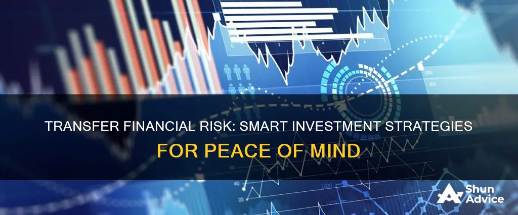 what investment allows someone to transfer financial risk