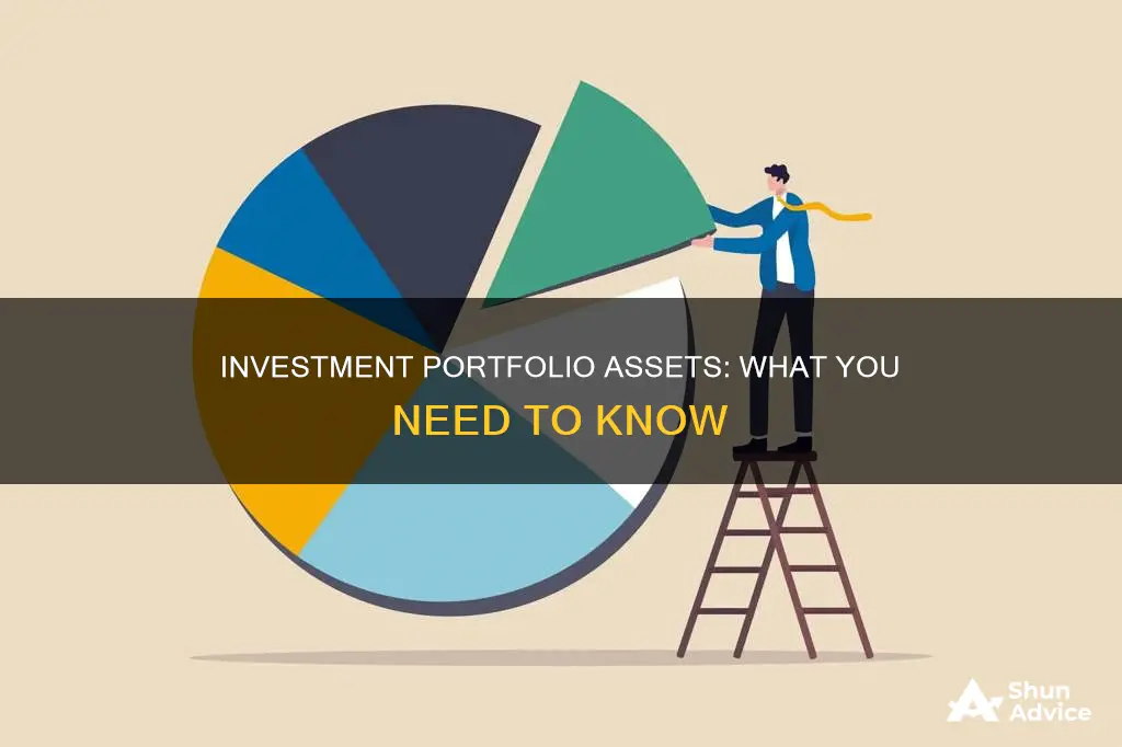 what investment assets make up a portfolio