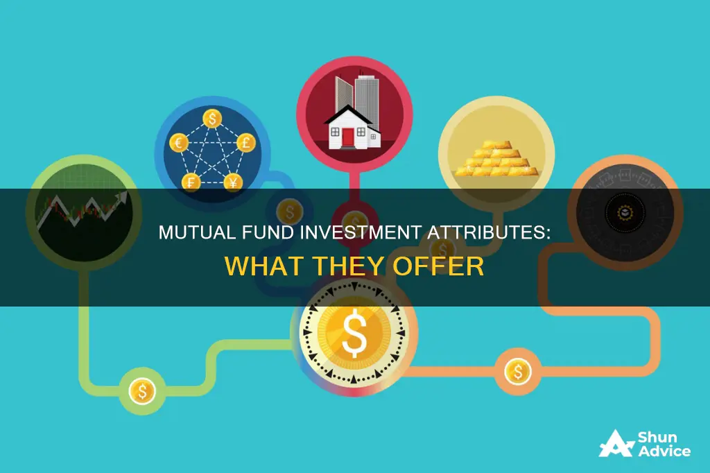 what investment attributes are offered by virtually all mutual funds