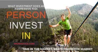 Aggressive Risk Investors: Where to Invest for Maximum Returns