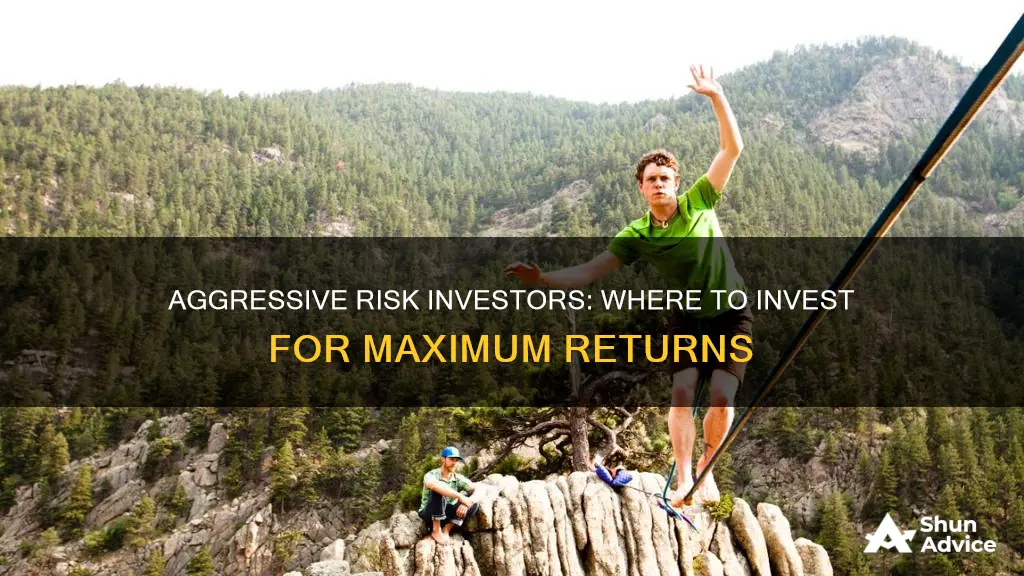 what investment does an aggressive risk person invest in