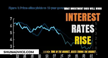 Navigating the Storm: What Investments Shine When Interest Rates Rise