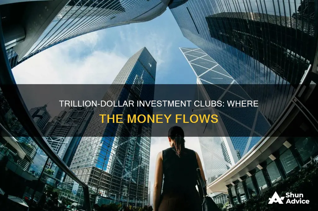 what investment fund has trillions