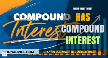 Unleash the Power of Compound Interest: Smart Investment Choices