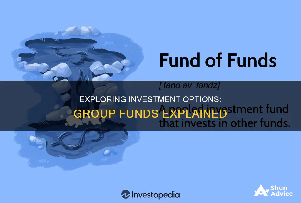 what investment is a group of funds