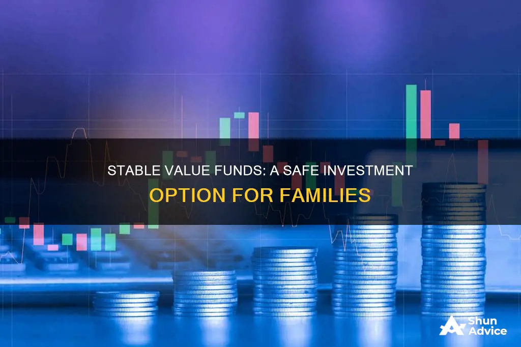 what investment option family does stable value fund fall under